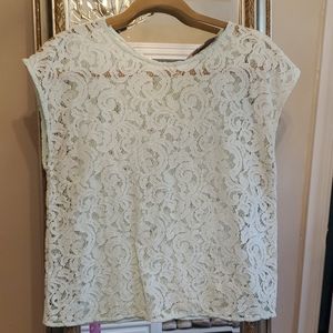 Loft sheer lace top in petite M.